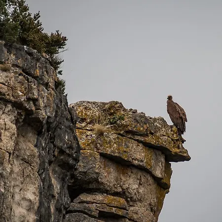 Кемпинг Camping Les Prades *